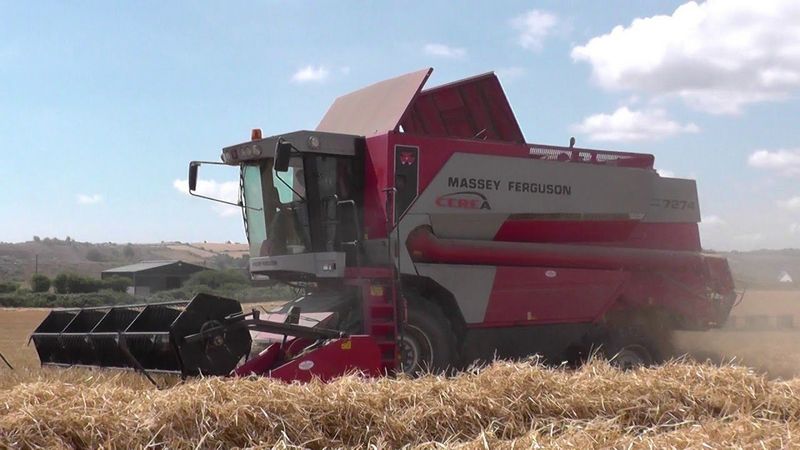 Massey Ferguson MF 7274 CEREA
